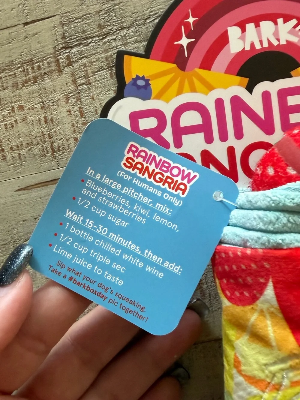 BarkBox Rainbow Sangrrria Dog Toy